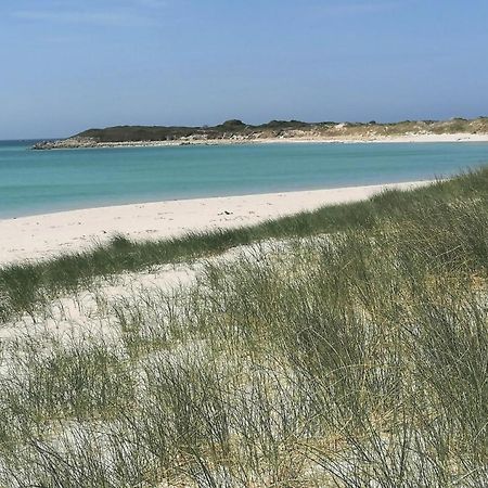 Guest House Dans Jardin Exotique Proche D'Une Voie Verte Morlaix Kültér fotó
