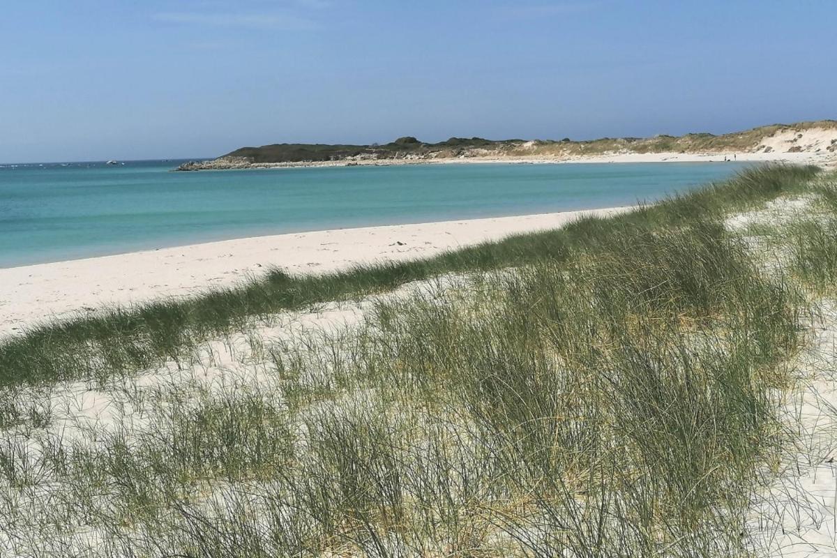 Guest House Dans Jardin Exotique Proche D'Une Voie Verte Morlaix Kültér fotó